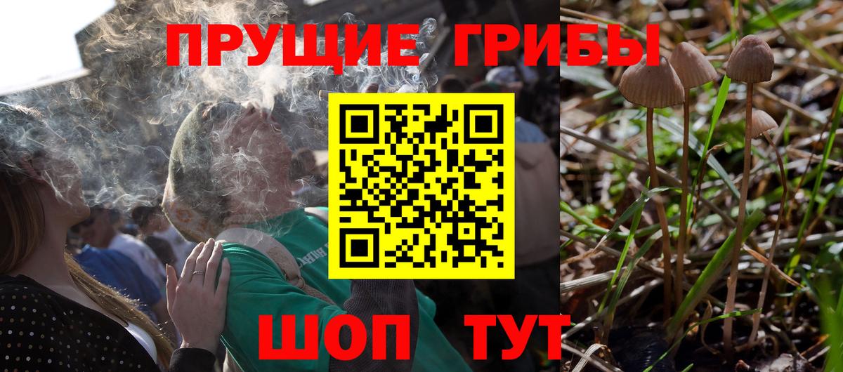 Псилоцибиновые грибы MAGIC MUSHROOMS  Псилоцибиновые грибы Magic Shrooms  Вольск  Вход с VPN 