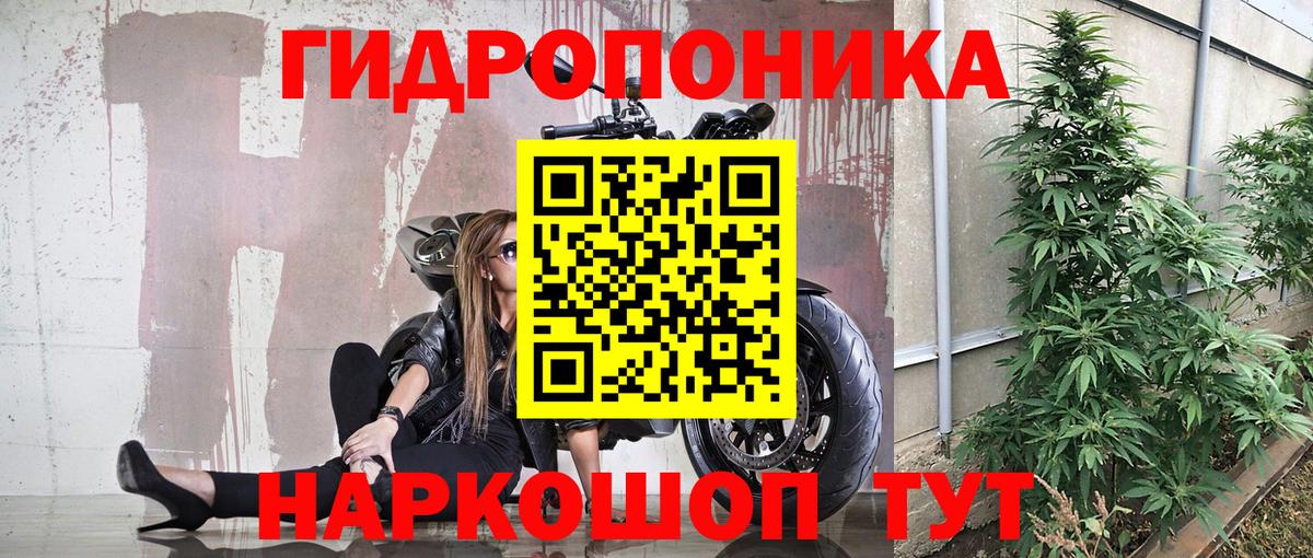 Марихуана THC 21%  Марихуана тримм  Вход с VPN  Вольск  Бошки марихуана THC 21%  Бошки Шишки сатива 
